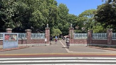 東京藝術大学 上野キャンパスの写真
