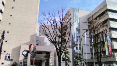 Foto de la zona del lugar