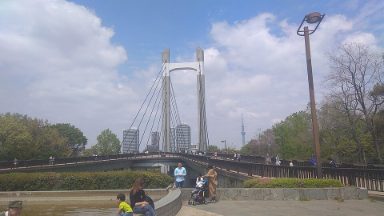 Foto de la zona del lugar