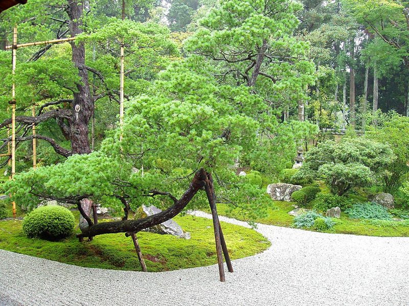 曼殊院門跡