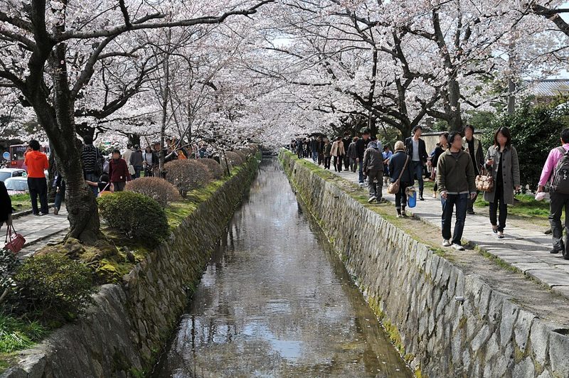 哲学の道