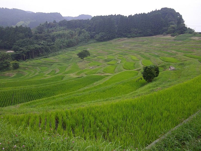 ภาพบริเวณสถานที่จัดงาน